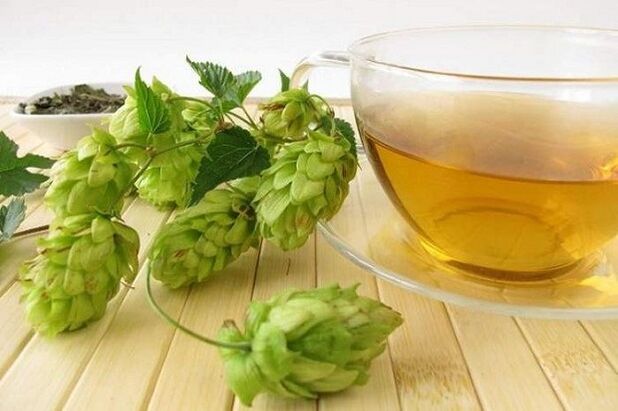 decoction ng hop cones para sa pagpapalaki ng dibdib